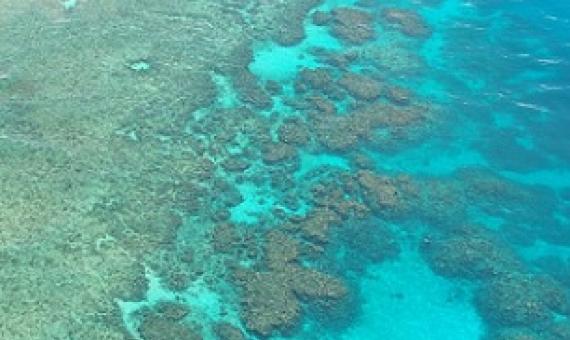 How governments resist World Heritage 'in Danger' listings. Credit: CC0 Public Domain