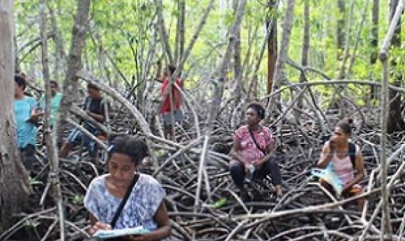 women engaing in mangrove monitoring. Credit - TNC
