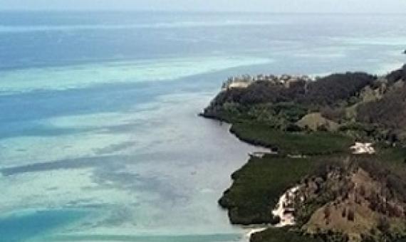 DIRECTOR FOR ENVIRONMENT SANDEEP SINGH HAS BEEN CROSSED EXAMINED IN THE CASE AGAINST FREESOUL REAL ESTATE DEVELOPMENT LIMITED.