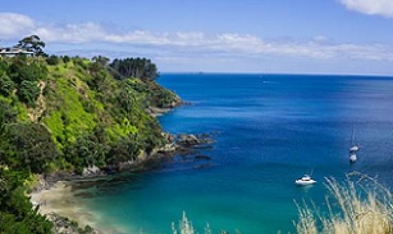 Waiheke Island, New Zealand. Credit - https://jonistravelling.com/