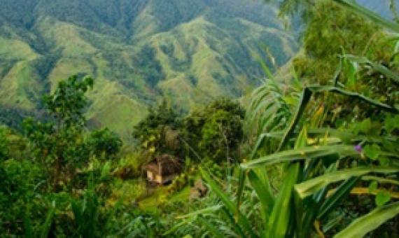 Credit - Woodland Park Zoo