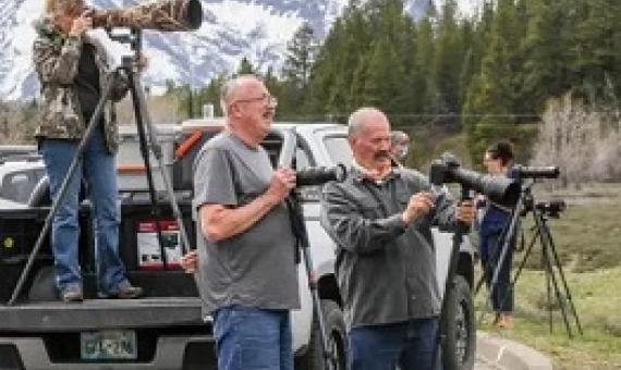  Visitors gather along the side of the road to try to photograph a grizzly bear with her cubs on Monday afternoon. Photograph: Gabriela Campos/The Guardian