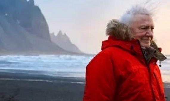 Sir David Attendborough. Credit - www.bbc.com