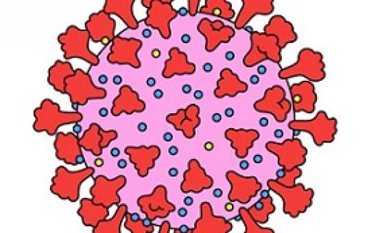 Illustrations by Laura Edelbacher; Animation by Patryk Senwicki