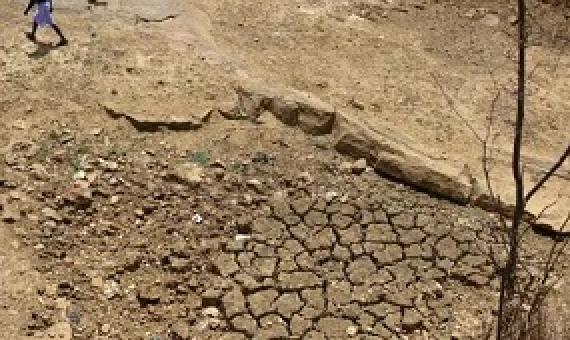An Indian farmer walks across the bed of a pond that has dried out during a water crisis. Photograph: Sanjay Kanojia/AFP via Getty Images