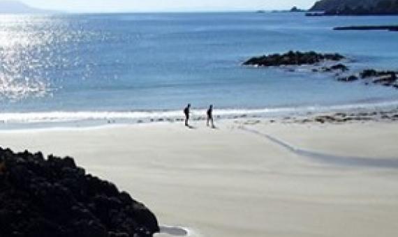 View across Tawharanui Marine Reserve and the Hauraki Gulf towards Hauturu/Little Barrier Island. Photo: RNZ / Alison Ballance