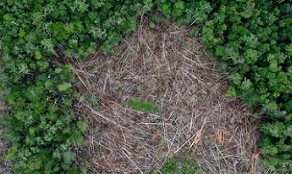 Deforestation in Borneo. Photo credit: Rhett A. Butler