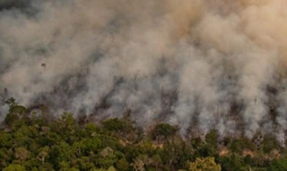 Fire in an area newly deforested registered by Deter (Real Time Deforestation Detection System), in Porto Velho, Rondônia state. Taken 16 Aug, 2020. CREDIT: © Christian Braga / Greenpeace
