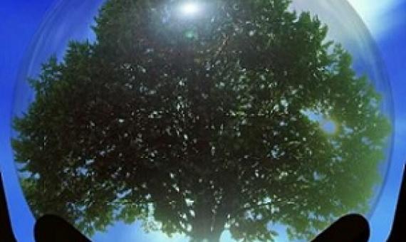 Is environmentalism in our genes?. Credit: CC0 Public Domain