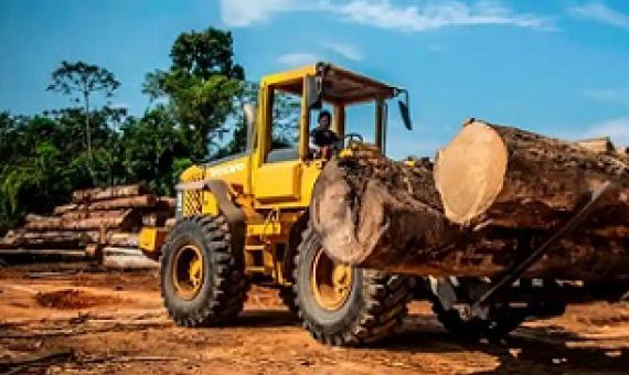 A sawmill in Peru’s Madre de Dios region of the Amazon rainforest. Photograph: Ernesto Benavides/AFP/Getty Images