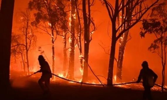 Oxford said the choice reflected the rise in climate awareness and the language we use to discuss it. Photograph: Dean Lewins/AAP