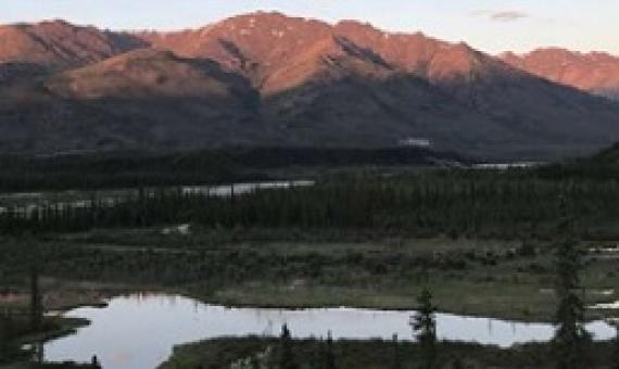 The Brooks Range stretches across northern Alaska. Boreal forests in North America are among the largest areas experiencing a relatively low human impact. Credit: Jason Riggio/UC Davis