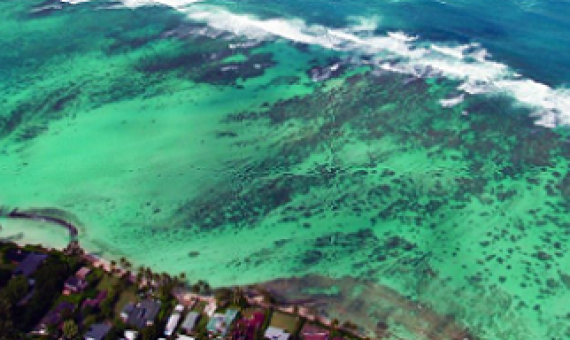 Hawaii's inshore reef area