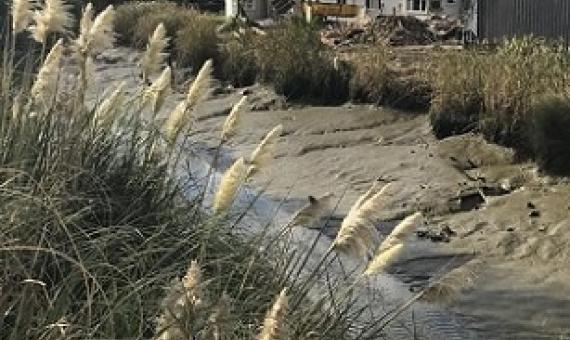 Awaroa River, Helensville Photo: LDR / Susan Botting