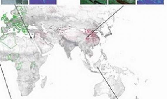 Satellite mapping of human pressure on land. Credit - Environmental Research Letters (2021). DOI: 10.1088/1748-9326/abe00a