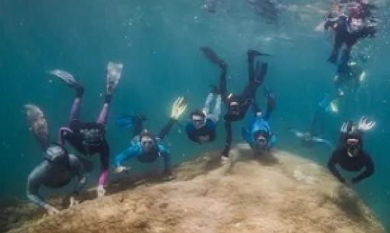There are now calls for the four-century-old coral to be monitored and the Great Barrier Reef to be protected given the threats from climate change. Photograph: Richard Woodgett