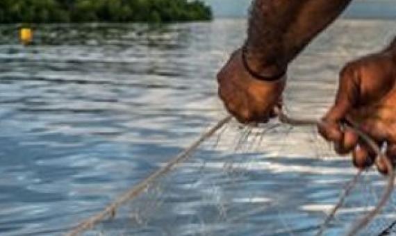 Credit - https://www.fbcnews.com.fj/