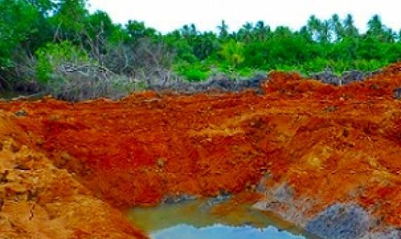 mangrove clearance, Rewa River, Fiji. Credit - V. Jungblut