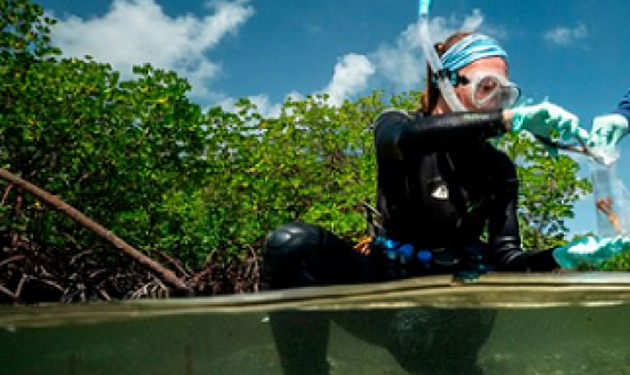 Marine biologist Emma Camp sampling coral.Credit: Rolex/Franck Gazzola