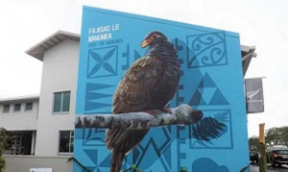 A mural of the manumea painted on the wall of the New Zealand High Commission office in Apia. (Photo: Vaitogi A Matafeo)