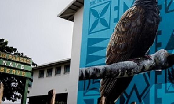 A mural of the Manumea on the wall of the New Zealand High Commission in Apia. Photo: Aufa'i Areta Areta