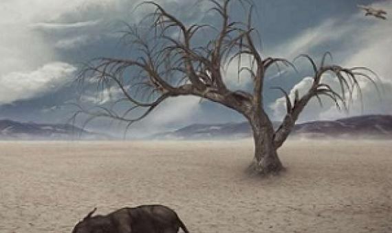 Driver of the largest mass extinction in the history of the Earth identified. Credit: CC0 Public Domain