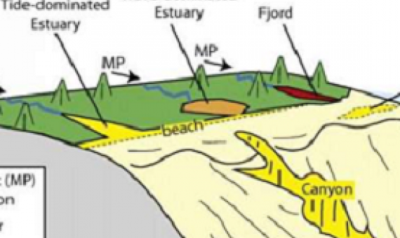 Shelf and deep sea environments have generally lower micropastic flux rates than coastal environments, but high rates may occur locally where bottom currents concentrate microplastic (e.g. on drift deposits, in submarine canyons and ocean trenches; Kane et al., 2020) or beneath locations of high particulate organic carbon flux driven by primary production (Tekman et al., 2020). Credit: Peter T. Harris