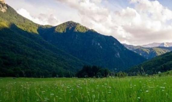 Nature should be at heart of the economy, say researchers. Credit - Credit: Unsplash/CC0 Public Domain