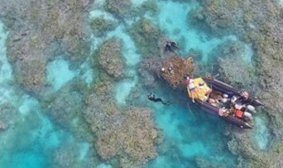 Papahanaumokuakea and Pacific Remote Islands Marine National Monuments. credit - NFWS