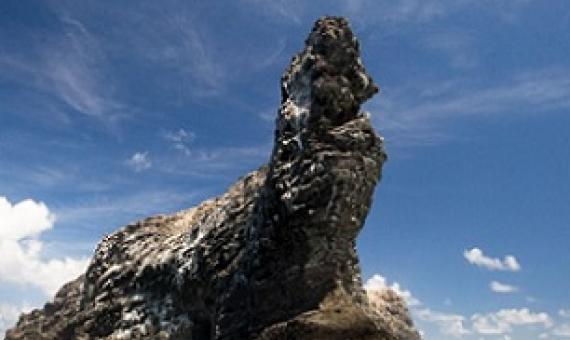 Credit - www.papahanaumokuakea.gov