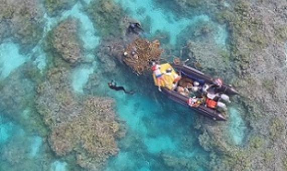 Papahanaumokuakea and Pacific Remote Islands Marine National Monuments. Credit - National Fish and Wildlife Foundation (NFWF)