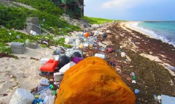 The flow of plastic into the ocean is expected to triple by 2040 if current trends continue, up to 29m tonnes a year. Photograph: Taiwan Academia Sinica Handout/EPA