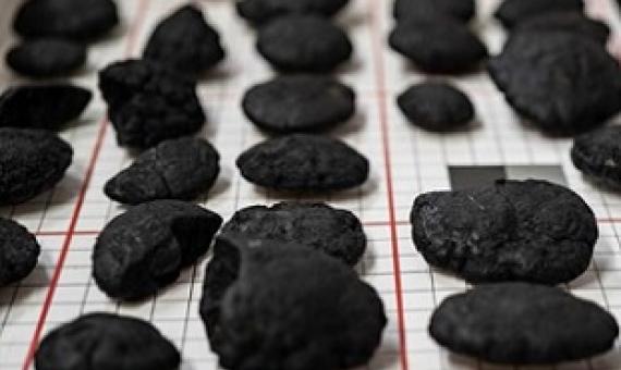 Polymetallic nodules found on the seafloor are known to contain metals such as nickel, copper and cobalt. Photo: DeepGreen Metals