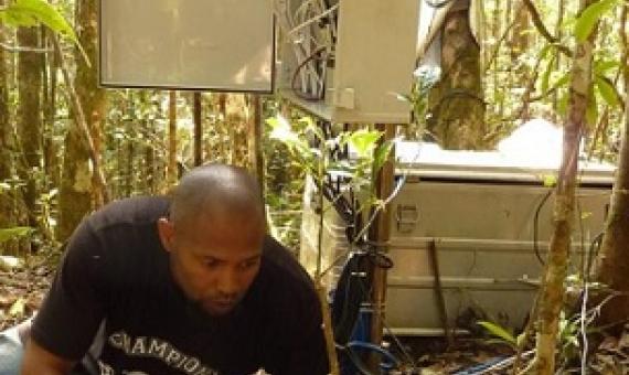 Maafaka Ravelona collecting data in the field. Credit - Julia P.G. Jones.