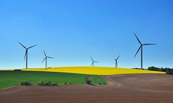 Does going green pay off? Credit: CC0 Public Domain