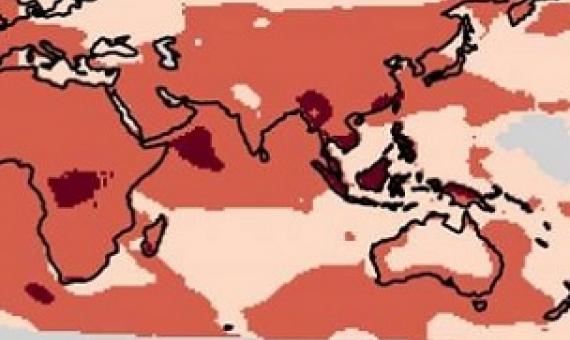 1 / 1More record-breaking temperatures and heat events will occur in the tropics rather than the poles, like many once thought. This region contains a larger share of the world population and more biodiversity. Credit: The University of Washington and the University of Arizona. Credit - www.phys.org