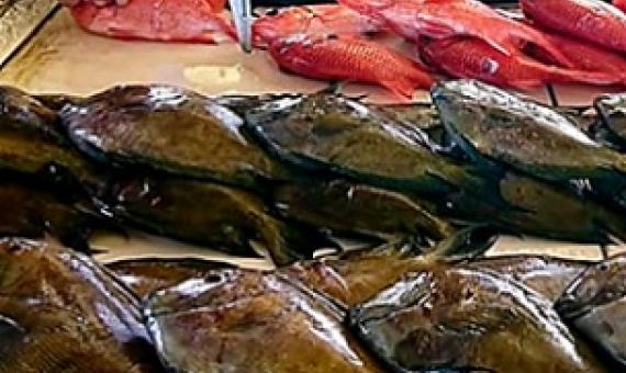 MAF is cracking down on fisheries violations. Credit: Samoa MAF