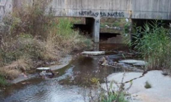 Civil and Environmental Engineering Assistant Professor Aditi Bhaskar’s recent study uncovered profound differences in streamflow changes in various urban watersheds. Credit: Andy Miller