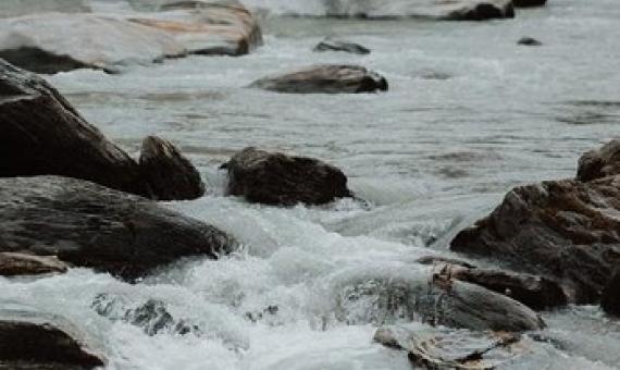 The Auditor-General says there's no clear vision across local and central government for water management. Photo: Unsplash / Bulb Creative