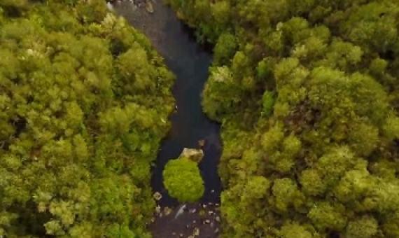 Whanganui River in Tongariro National Park, New Zealand'. source - https://www.theguardian.com