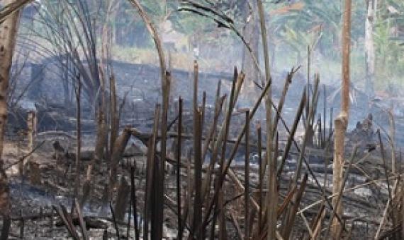 Indigenous knowledge and the persistence of the 'wilderness' myth. Credit: Wolfram Dressler