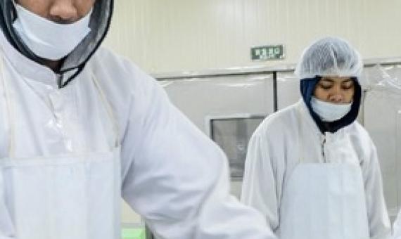 Preparing tuna steaks for packaging at Ocean Fiji factory … Pacific Islands people want to build their economies so communities are more resilient and have more opportunities