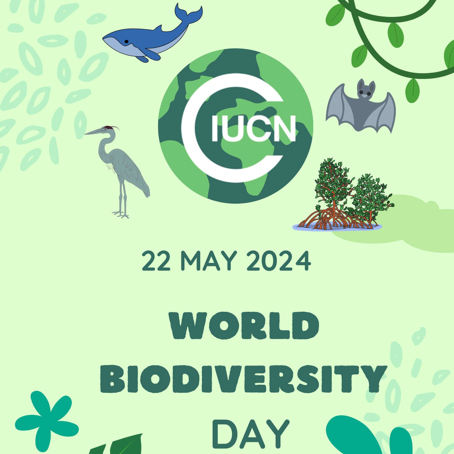 World Biodiversity Day