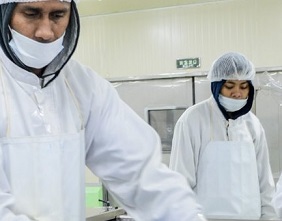 Preparing tuna steaks for packaging at Ocean Fiji factory … Pacific Islands people want to build their economies so communities are more resilient and have more opportunities